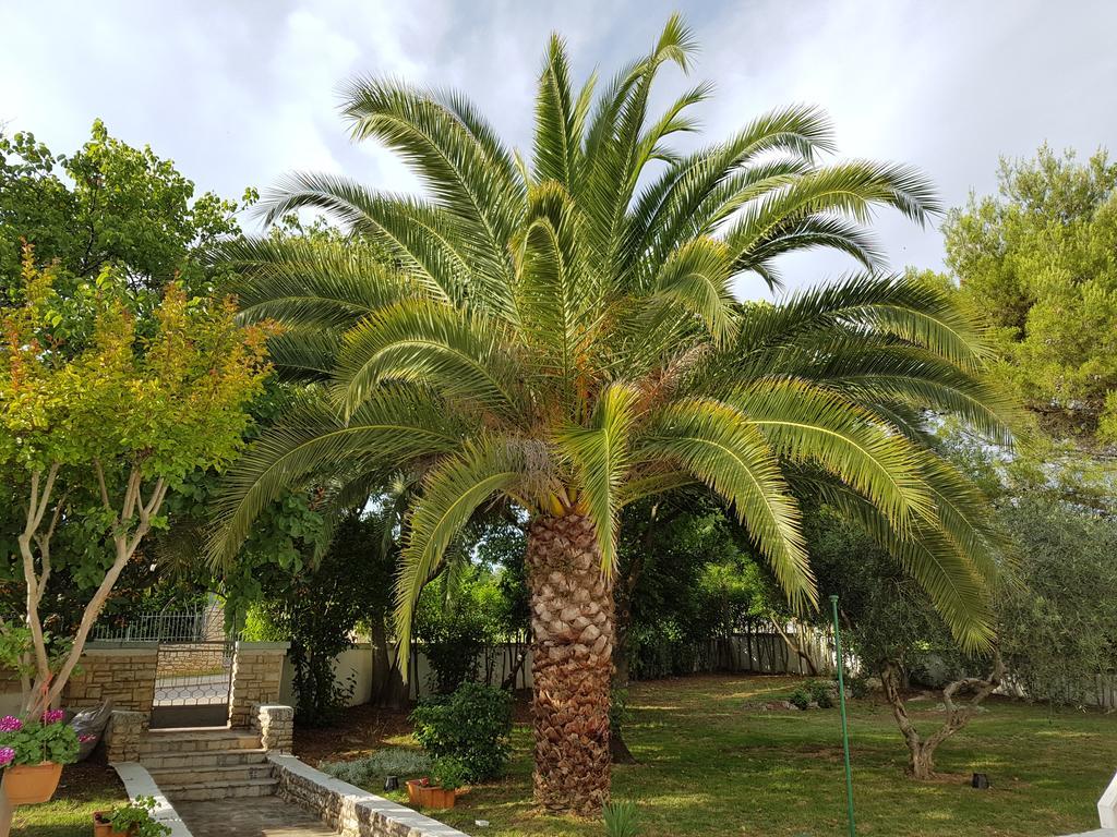 Villa Rosa With Yard And Children'S Playground Тар Экстерьер фото
